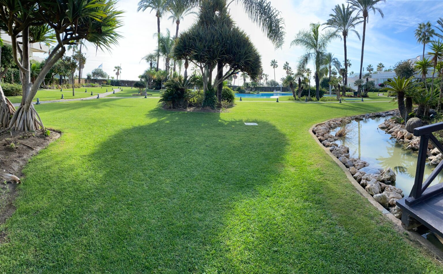 Jardinero realizando la poda de palmeras dentro del servicio de jardinería para comunidades en Marbella.